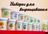 Детский развивающий набор для выращивания - Укроп